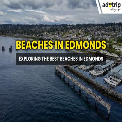 Beaches in Edmonds  Exploring the Best Beaches in Edmonds master image